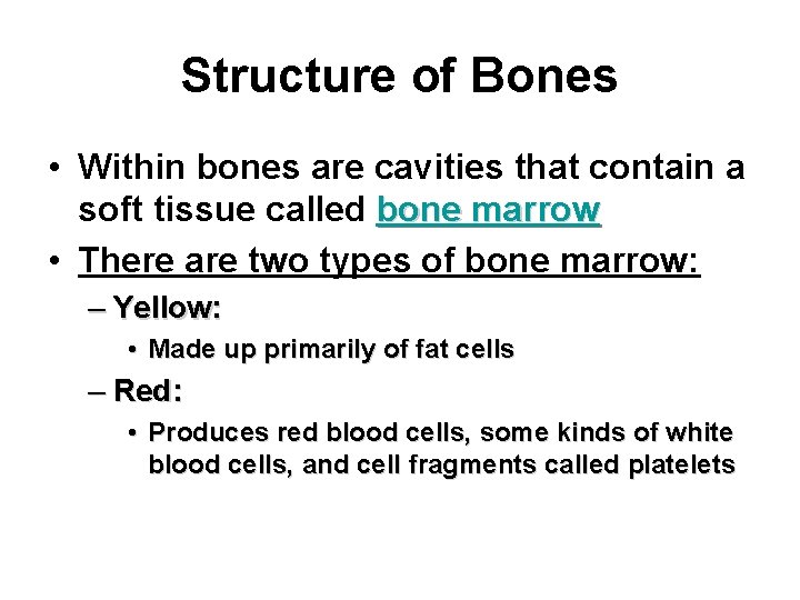 Structure of Bones • Within bones are cavities that contain a soft tissue called