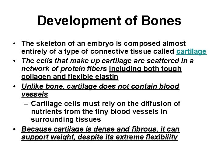 Development of Bones • The skeleton of an embryo is composed almost entirely of