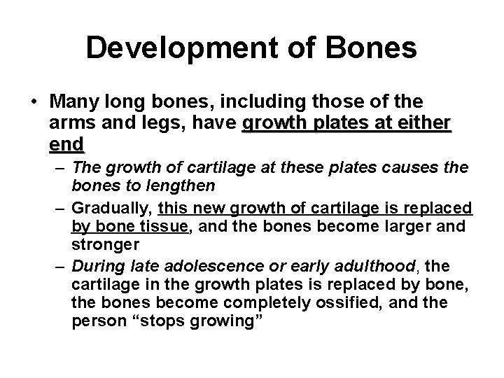 Development of Bones • Many long bones, including those of the arms and legs,