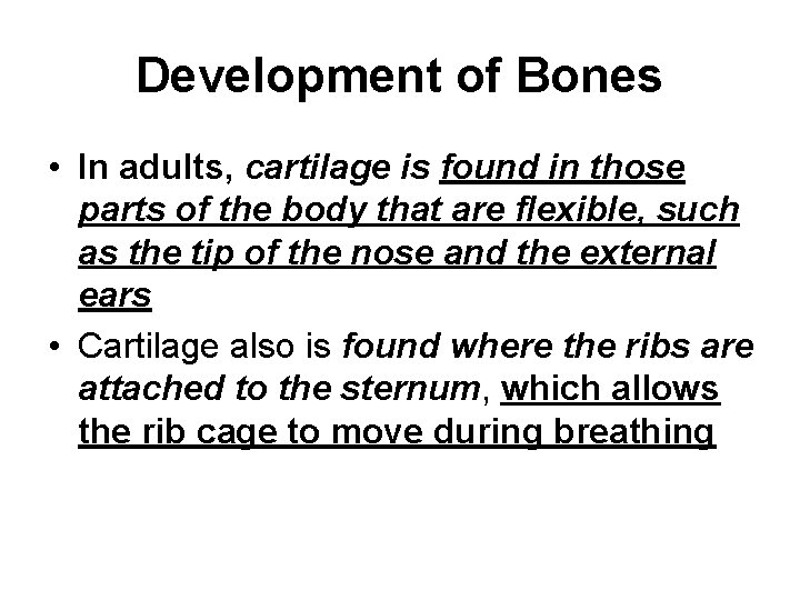 Development of Bones • In adults, cartilage is found in those parts of the