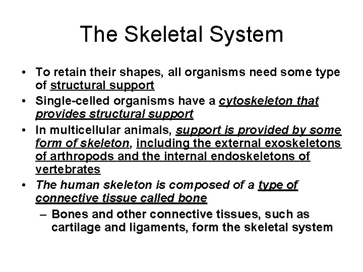 The Skeletal System • To retain their shapes, all organisms need some type of