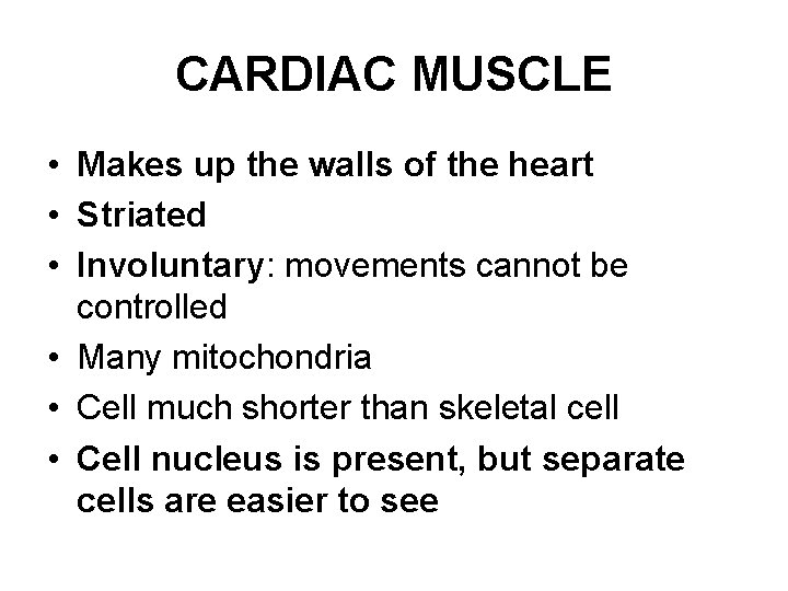CARDIAC MUSCLE • Makes up the walls of the heart • Striated • Involuntary: