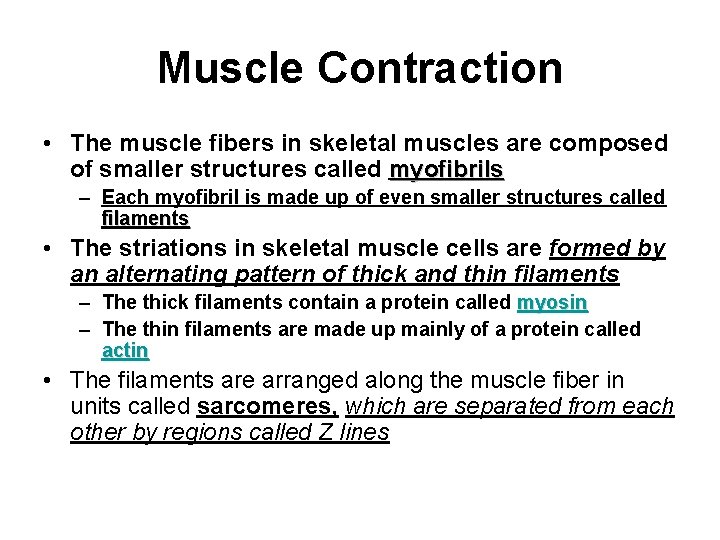 Muscle Contraction • The muscle fibers in skeletal muscles are composed of smaller structures