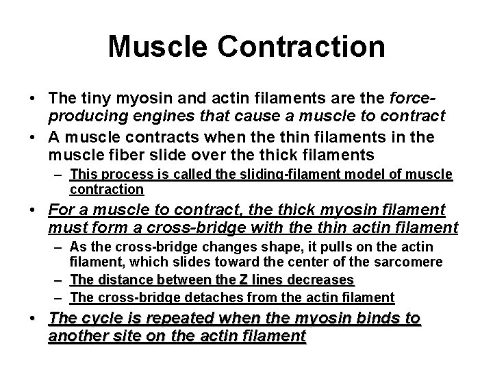 Muscle Contraction • The tiny myosin and actin filaments are the forceproducing engines that