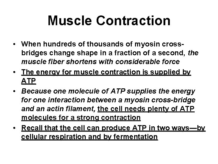 Muscle Contraction • When hundreds of thousands of myosin crossbridges change shape in a