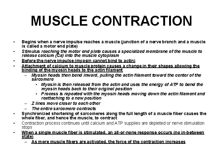 MUSCLE CONTRACTION • • Begins when a nerve impulse reaches a muscle (junction of