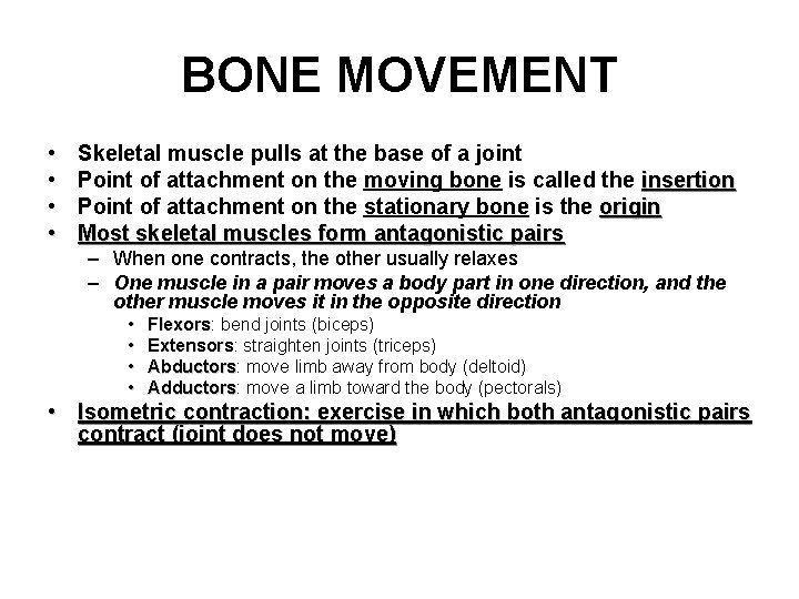 BONE MOVEMENT • • Skeletal muscle pulls at the base of a joint Point
