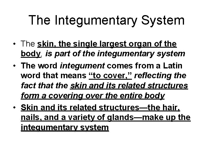 The Integumentary System • The skin, the single largest organ of the body, is