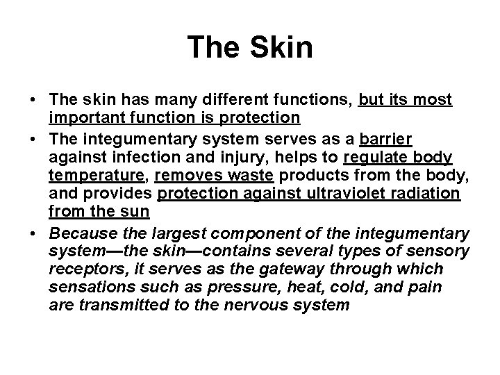 The Skin • The skin has many different functions, but its most important function