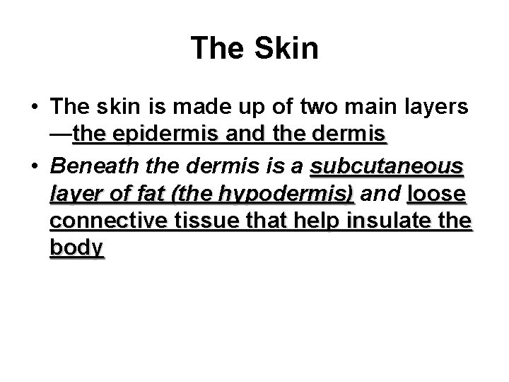 The Skin • The skin is made up of two main layers —the epidermis