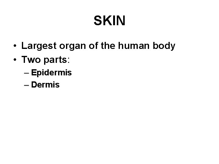 SKIN • Largest organ of the human body • Two parts: – Epidermis –