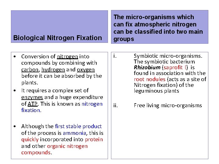 Biological Nitrogen Fixation • Conversion of nitrogen into compounds by combining with carbon, hydrogen