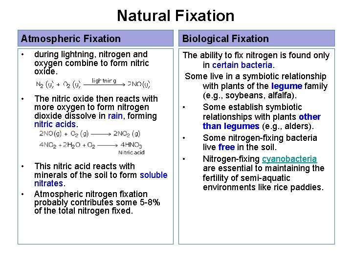 Natural Fixation Atmospheric Fixation Biological Fixation • during lightning, nitrogen and oxygen combine to