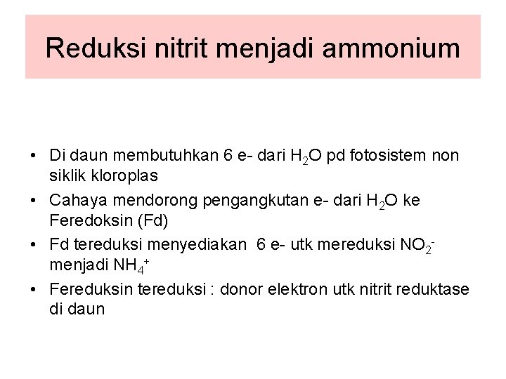 Reduksi nitrit menjadi ammonium • Di daun membutuhkan 6 e- dari H 2 O