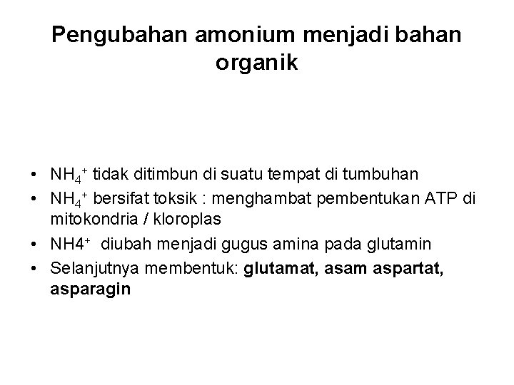 Pengubahan amonium menjadi bahan organik • NH 4+ tidak ditimbun di suatu tempat di