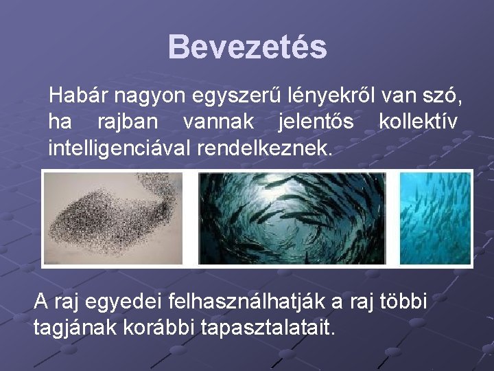 Bevezetés Habár nagyon egyszerű lényekről van szó, ha rajban vannak jelentős kollektív intelligenciával rendelkeznek.