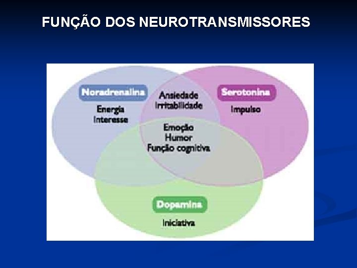 FUNÇÃO DOS NEUROTRANSMISSORES 