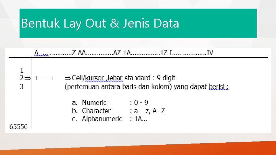 Bentuk Lay Out & Jenis Data 