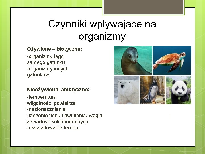 Czynniki wpływające na organizmy Ożywione – biotyczne: -organizmy tego samego gatunku -organizmy innych gatunków