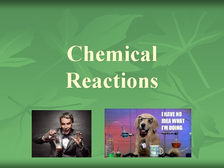 Chemical Reactions 