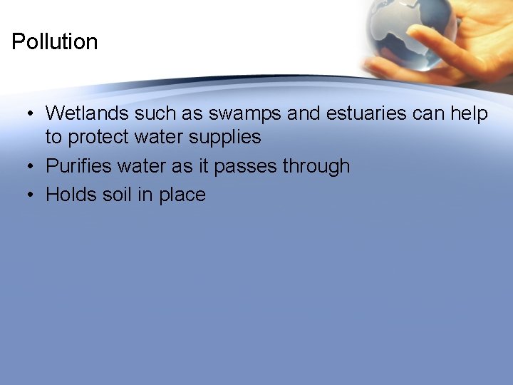Pollution • Wetlands such as swamps and estuaries can help to protect water supplies