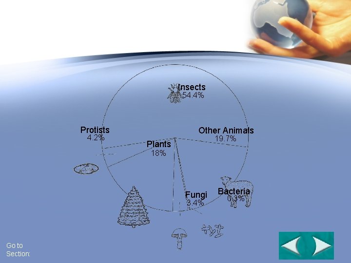 Species Diversity Section 6 -3 Insects 54. 4% Protists 4. 2% Other Animals 19.