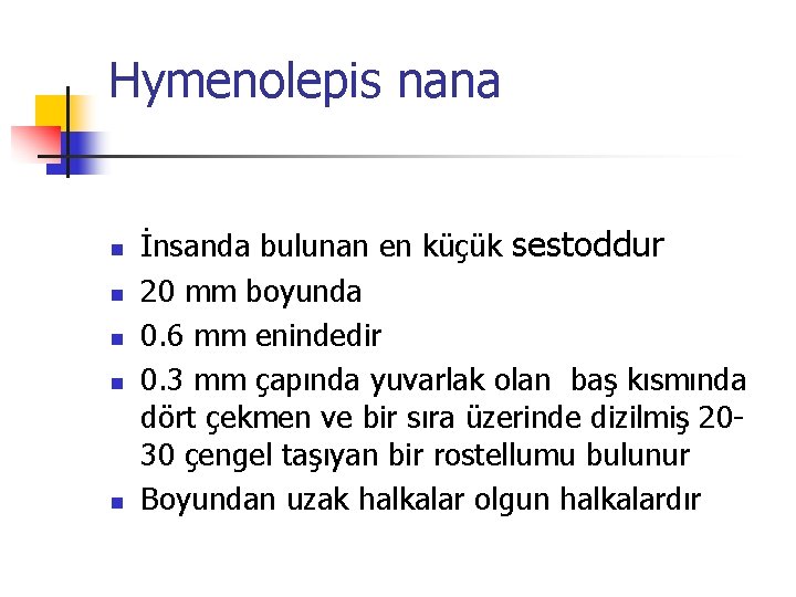 Hymenolepis nana n n n İnsanda bulunan en küçük sestoddur 20 mm boyunda 0.