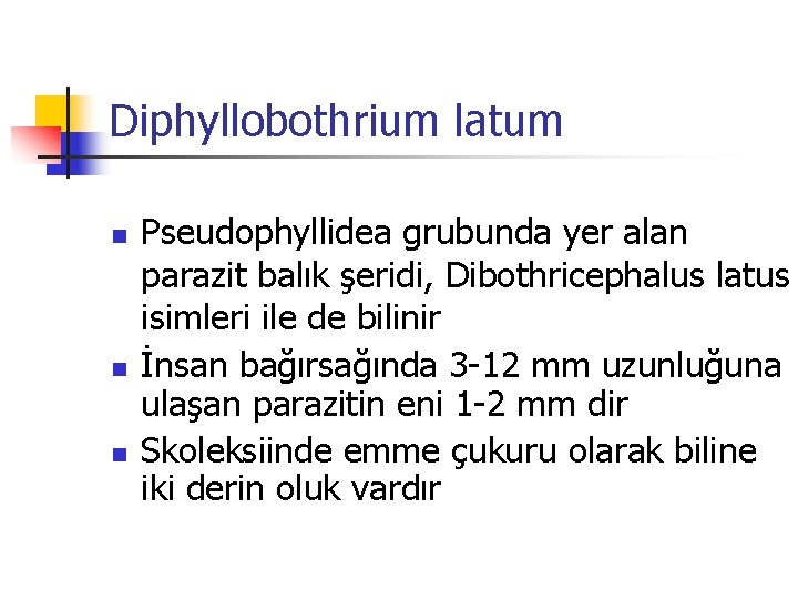 Diphyllobothrium latum n n n Pseudophyllidea grubunda yer alan parazit balık şeridi, Dibothricephalus latus