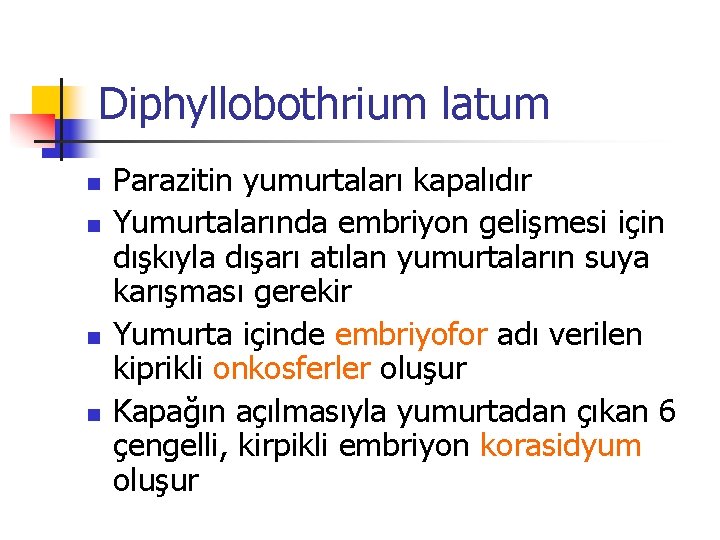 Diphyllobothrium latum n n Parazitin yumurtaları kapalıdır Yumurtalarında embriyon gelişmesi için dışkıyla dışarı atılan