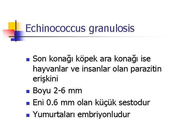 Echinococcus granulosis n n Son konağı köpek ara konağı ise hayvanlar ve insanlar olan