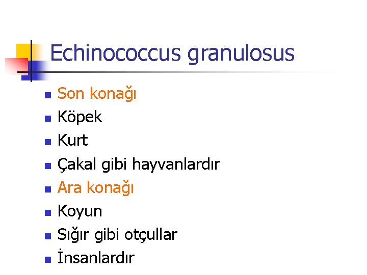 Echinococcus granulosus n n n n Son konağı Köpek Kurt Çakal gibi hayvanlardır Ara