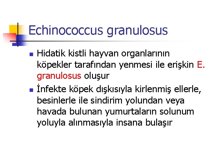 Echinococcus granulosus n n Hidatik kistli hayvan organlarının köpekler tarafından yenmesi ile erişkin E.
