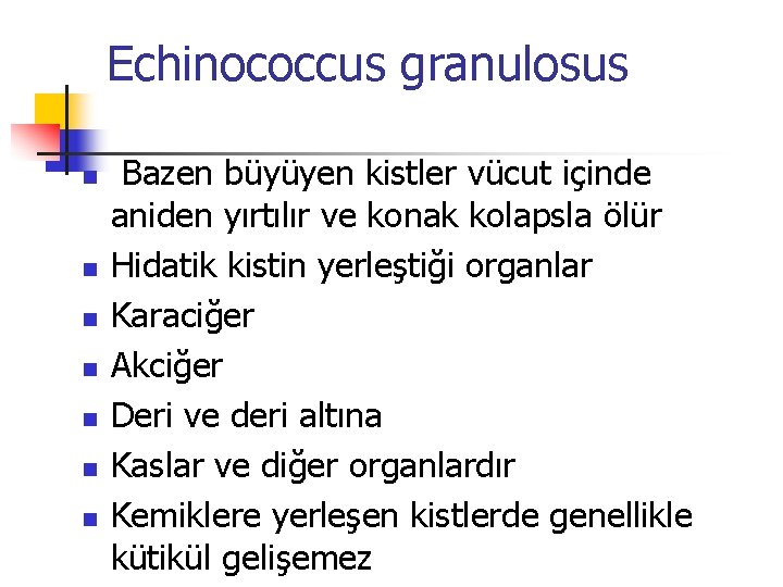 Echinococcus granulosus n n n n Bazen büyüyen kistler vücut içinde aniden yırtılır ve
