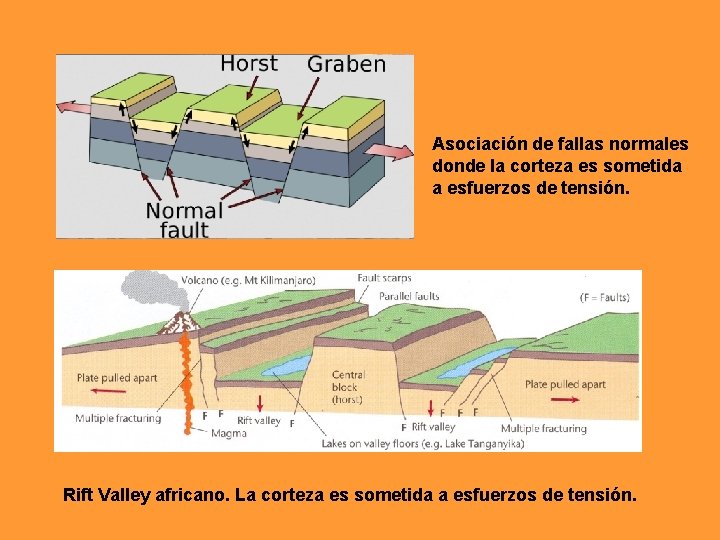 Asociación de fallas normales donde la corteza es sometida a esfuerzos de tensión. Rift Asociación de fallas normales donde la corteza es sometida a esfuerzos de tensión. Rift