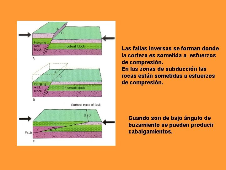 Las fallas inversas se forman donde la corteza es sometida a esfuerzos de compresión.