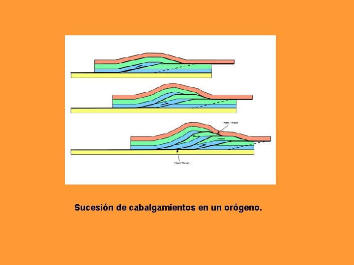 Sucesión de cabalgamientos en un orógeno. Sucesión de cabalgamientos en un orógeno.