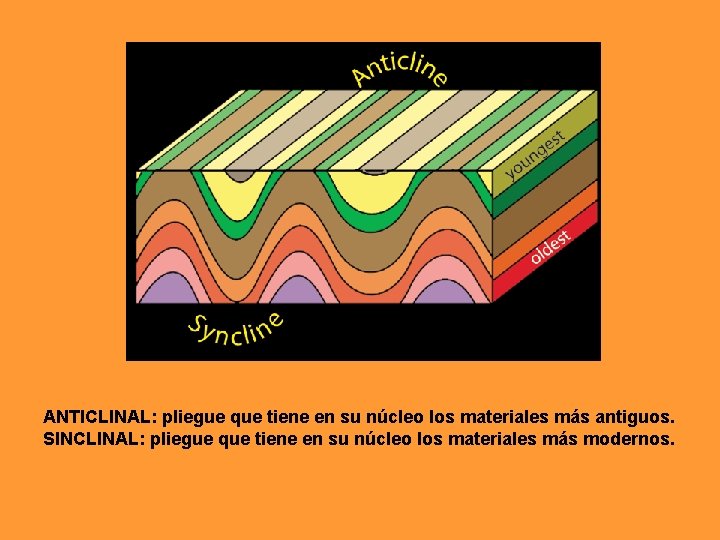 ANTICLINAL: pliegue que tiene en su núcleo los materiales más antiguos. SINCLINAL: pliegue que