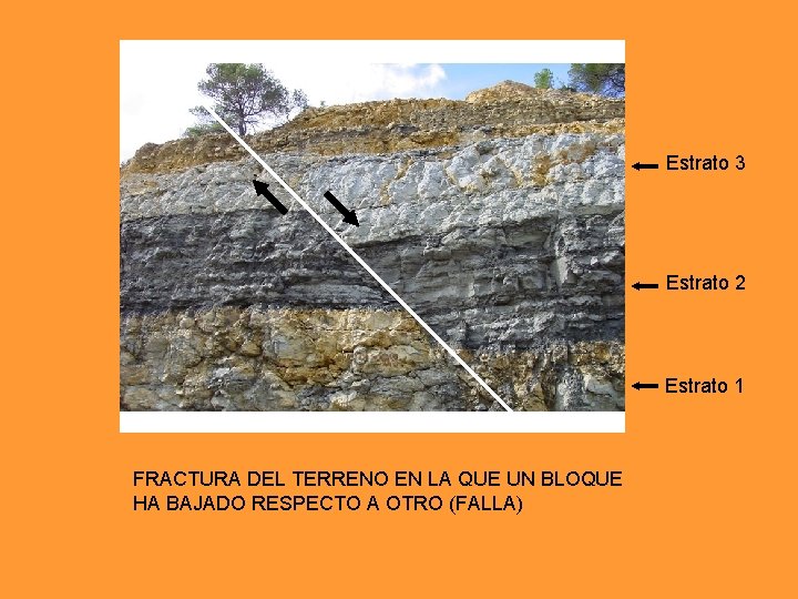 Estrato 3 Estrato 2 Estrato 1 FRACTURA DEL TERRENO EN LA QUE UN BLOQUE Estrato 3 Estrato 2 Estrato 1 FRACTURA DEL TERRENO EN LA QUE UN BLOQUE
