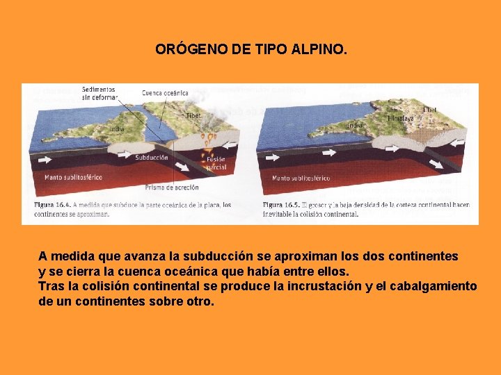 ORÓGENO DE TIPO ALPINO. A medida que avanza la subducción se aproximan los dos