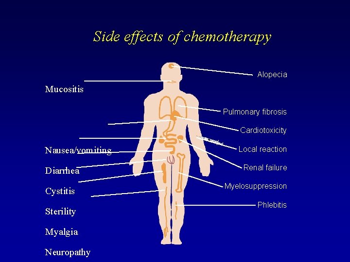 Side effects of chemotherapy Alopecia Mucositis Pulmonary fibrosis Cardiotoxicity Nausea/vomiting Diarrhea Cystitis Sterility Myalgia