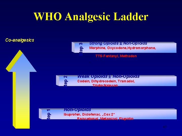 WHO Analgesic Ladder Step 3 Co-analgesics Strong Opioids ± Non-Opioids Morphine, Oxycodone, Hydromorphone, TTS-Fentanyl,