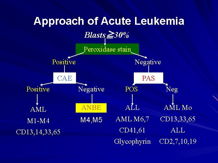 Approach of Acute Leukemia Blasts≧ 30% Peroxidase stain Positive Negative CAE PAS Positive Negative
