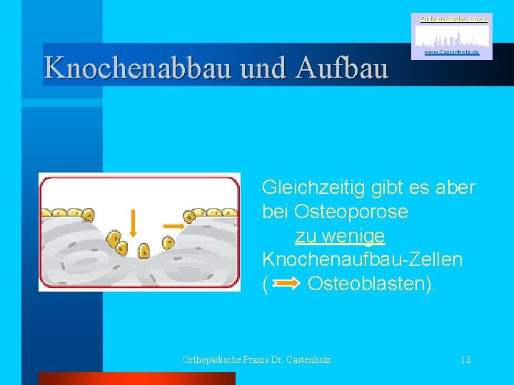 Orthopädische Praxis Knochenabbau und Aufbau www. Castenholz. de Gleichzeitig gibt es aber bei Osteoporose