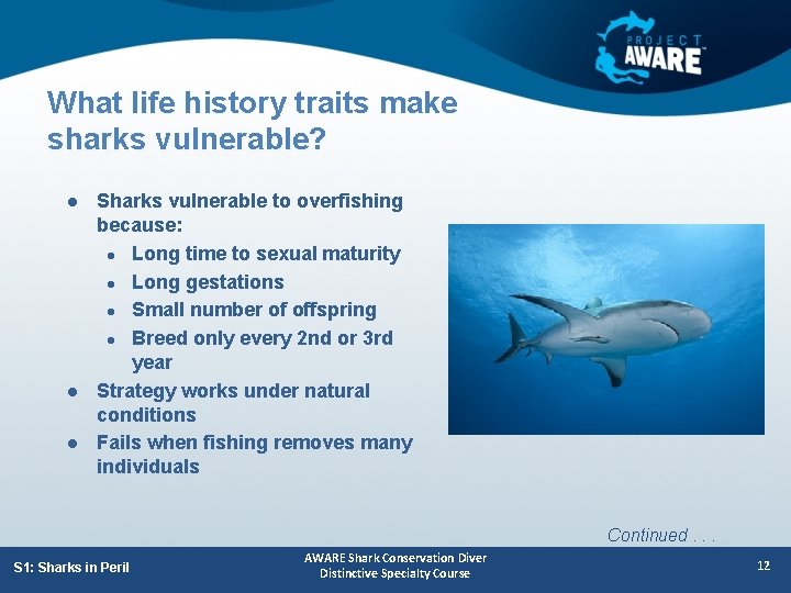 What life history traits make sharks vulnerable? l l l Sharks vulnerable to overfishing