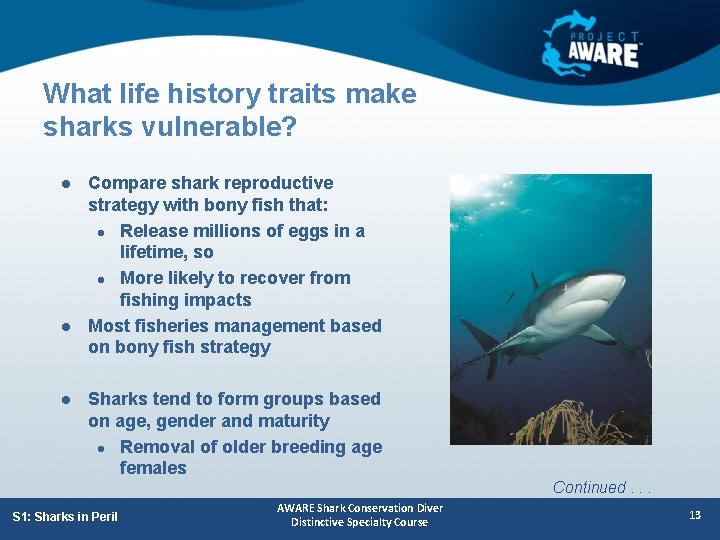 What life history traits make sharks vulnerable? l l l Compare shark reproductive strategy