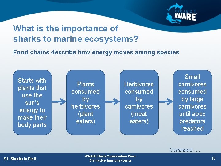 What is the importance of sharks to marine ecosystems? Food chains describe how energy