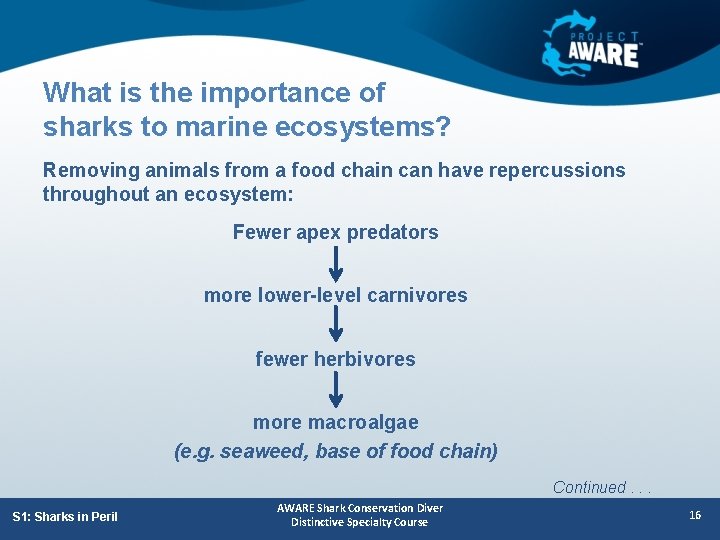 What is the importance of sharks to marine ecosystems? Removing animals from a food