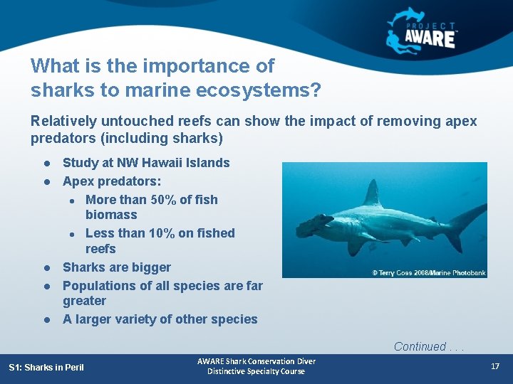 What is the importance of sharks to marine ecosystems? Relatively untouched reefs can show