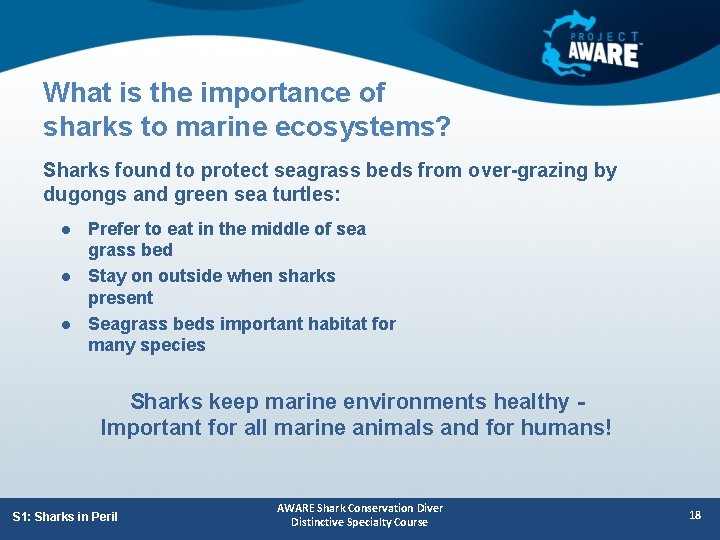 What is the importance of sharks to marine ecosystems? Sharks found to protect seagrass