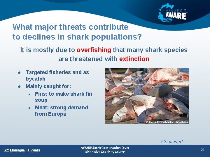 What major threats contribute to declines in shark populations? It is mostly due to